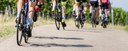 Giro dell'Emilia Donne Elite 2023, la corsa passa anche a Calderara di Reno: ecco le vie interessate