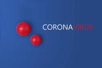 Coronavirus, nuovo decreto del Governo: ecco il testo