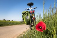 Servizi per il cicloturismo: dal Comune fino a 1.500 euro alle aziende ricettive e di ristorazione