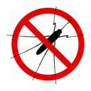 Lotta alla zanzara, il piano del Comune per l'estate 2022